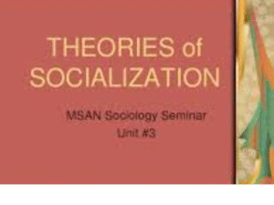 Theories of Socialization 