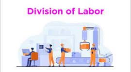 What is division of labour ?