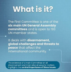 Discuss the role of United Nations in Disarmament.