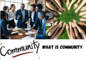 What is a Community? Explain its characteristics & Elements