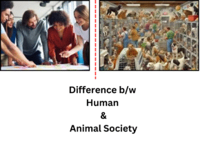 difference bw human &animal society