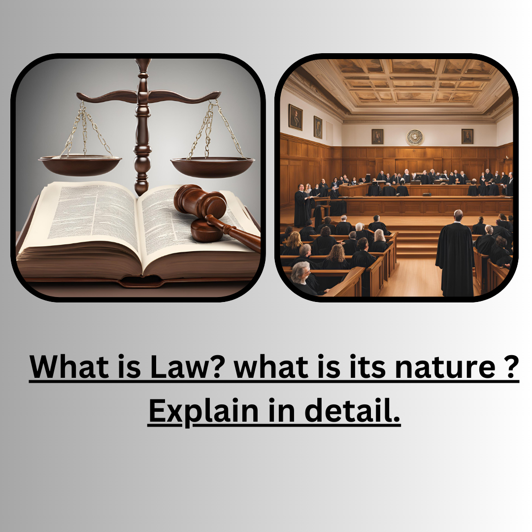 What do you mean by law? Explain its nature, various types and sources of law?
