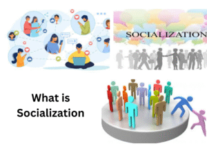 What is Socialization? Explain the types of Socialization