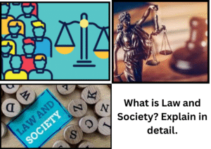 What is Law and society? Explain in detail