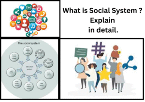  What is Social System? Explain the meaning and features of Social System in detail