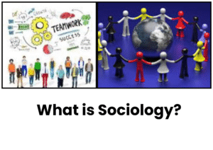 What is Sociology? Explain it in detail