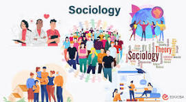 What is Sociology? Explain it in detail